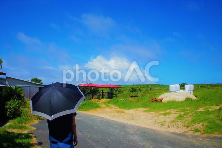 爽やかな牧場の景色 牧場,小屋,牛舎の写真素材