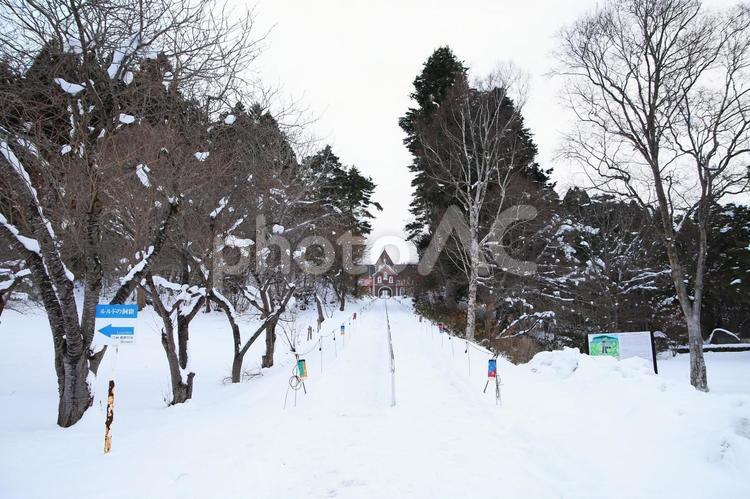 北斗市の美しいトラピスト修道院のある風景 冬,木,景色の写真素材