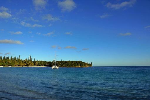 ニューカレドニア　イルデパン島83ヨット ニューカレドニア,イルデパン島,ウレテラビーチホテルの写真素材