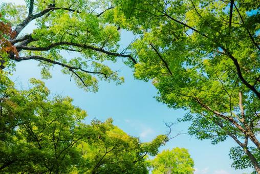【和歌山】和歌山城 2025 【和歌山】和歌山城 2025の写真