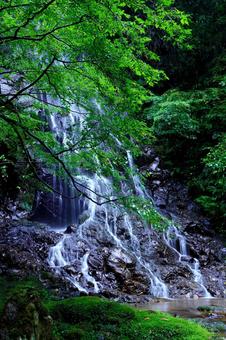 緑に囲まれた水流(霧降の滝) 緑に囲まれた水流(霧降の滝)の写真