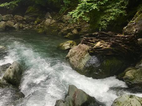渓流 渓流 渓流,川,河川の写真素材
