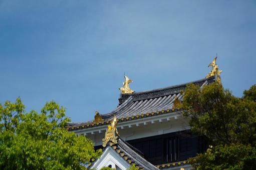 岡山城 363 岡山城 363 岡山城,岡山県,岡山市の写真素材