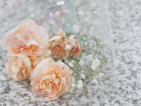 やさしい花の写真