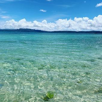 沖縄の海 沖縄の海 沖縄,海,浜辺の写真素材