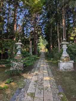 石動神社 参道 石動神社 参道の写真