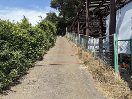 田舎道 田舎道 自然,田舎,道の写真素材