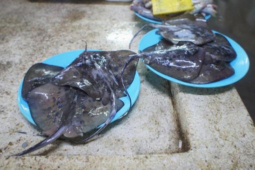 魚市場 魚市場の写真