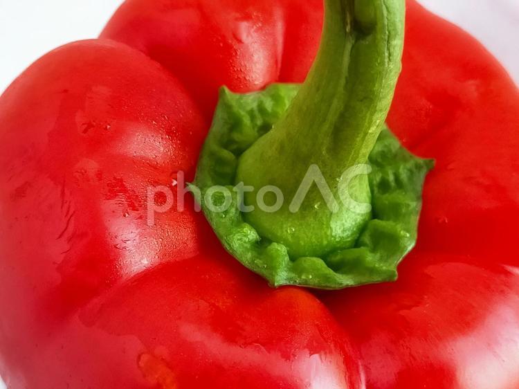 水滴がついた赤いパプリカ　接写　白バック パプリカ,赤パプリカ,赤色の写真素材