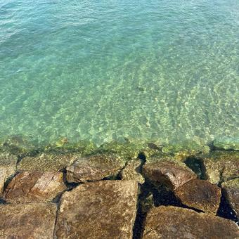 透明な海 透明な海の写真