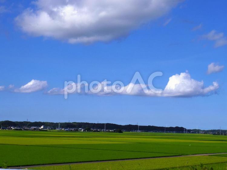 青空と広がる田園風景 田園風景,青空,田園の写真素材