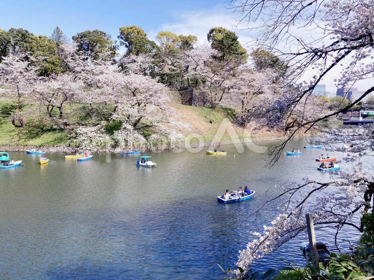 東京風景・千鳥ヶ淵 千鳥ヶ淵,千鳥ケ淵,堀の写真素材