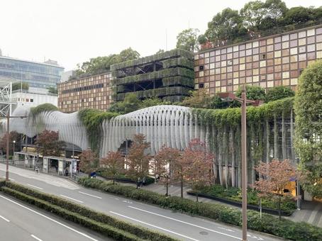 秋の二子玉川 秋の二子玉川 の写真