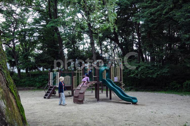 塚山公園の滑り台 塚山公園,屋外で,緑の写真素材