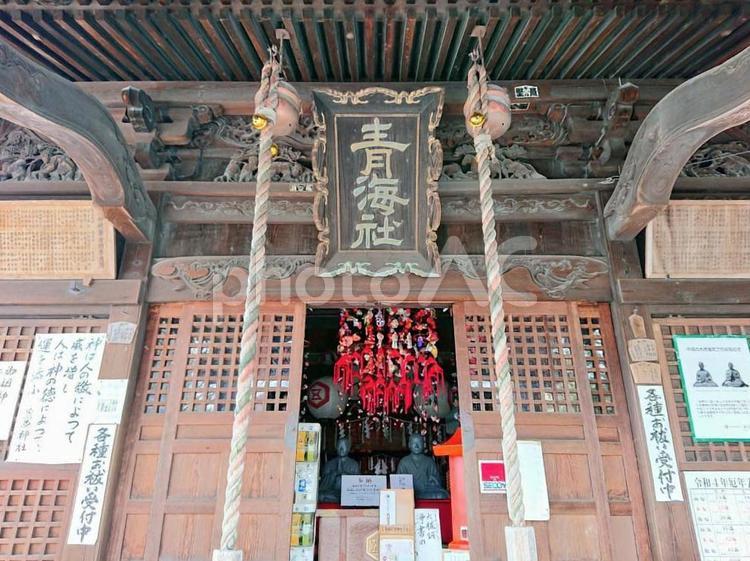 蒲原神社　新潟市中央区蒲原町　２ 新潟市,蒲原神社,神社の写真素材
