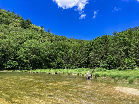 丸沼の湖畔から　群馬県片品村 丸沼,沼,湖の写真素材