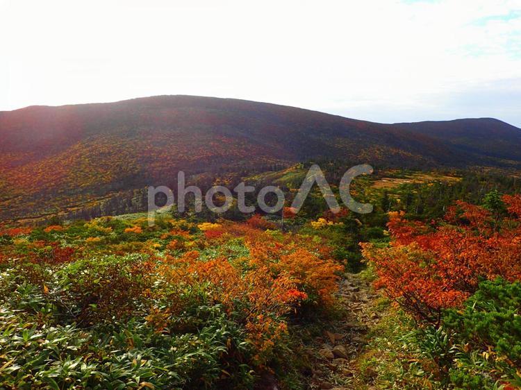 蔵王の景色５ 秋,紅葉,空の写真素材