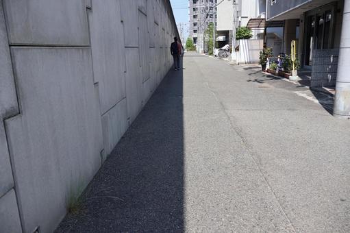 日向と日陰 日向と日陰の写真