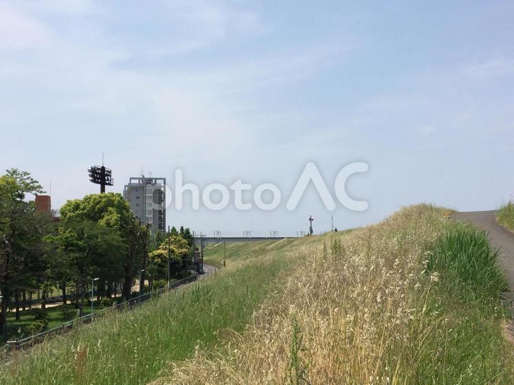 土手から見える風景 風景,木,土手の写真素材