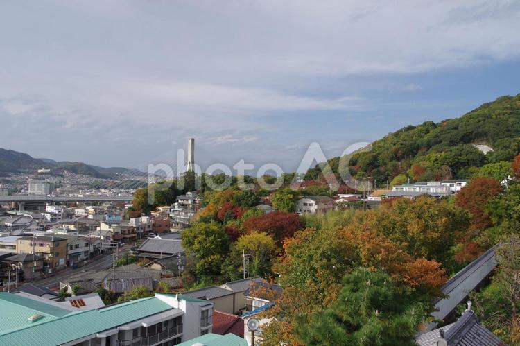 池田城より池田市を望む 街並み,俯瞰,山の写真素材