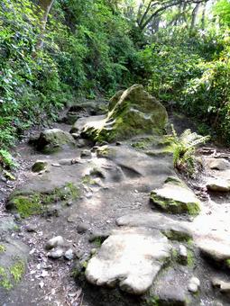 鎌倉・源氏山公園に続く化粧坂の山道 鎌倉・源氏山公園に続く化粧坂の山道 石,岩,山道の写真素材