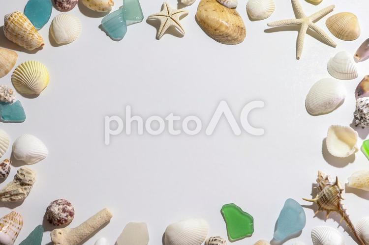 貝殻とヒトデのフレーム 貝,貝殻,ヒトデの写真素材