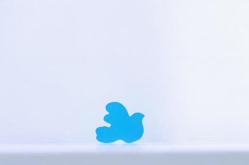 Photo, bird, colorful, piece, 