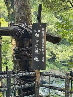 祖谷 かずら橋 祖谷 かずら橋 祖谷渓,祖谷,いやの写真素材