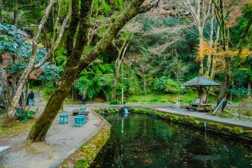 【宮崎】高千穂峡の風景 【宮崎】高千穂峡の風景の写真