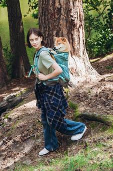 大きな木の前で犬を背負う女性 女性,犬,柴犬の写真素材