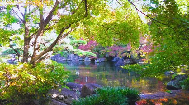 姫路城 好古園6 紅葉,秋,姫路城の写真素材