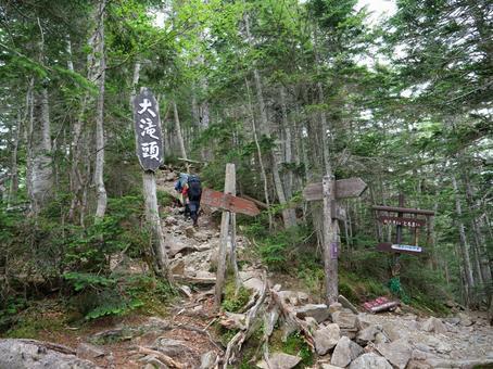仙丈ヶ岳 登山道 大滝頭 仙丈ヶ岳 登山道 大滝頭の写真