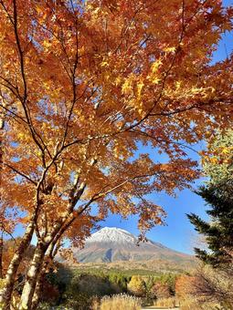 秋色に染まる紅葉と富士山 富士山,紅葉,秋の写真素材