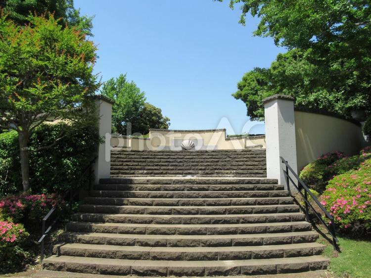 階段　山手イタリア山庭園 階段,背景,花の写真素材