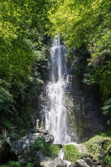 佐賀-【清水の滝】の写真