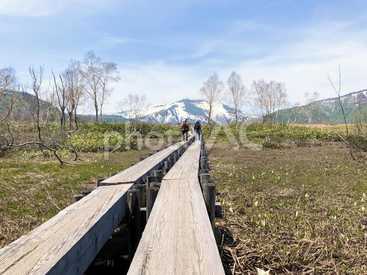 5月の尾瀬ヶ原 ハイキング,広大,木道の写真素材