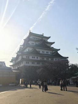 Photo, nagoya castle, city, tourist spot, 