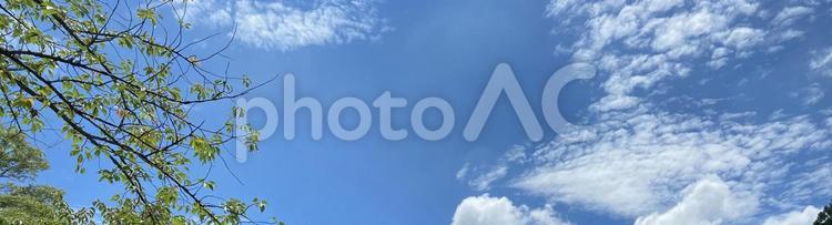 空　青空　晴天　ヘッダ 空,青空,自然の写真素材