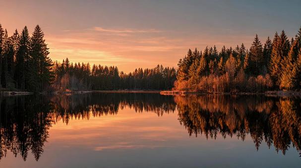 森林と夕日の美しい湖の写真