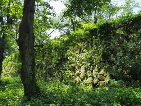 夏の景色6 夏の景色6の写真