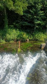水しぶきと緑の調和 水しぶきと緑の調和 川,清流,滝の写真素材