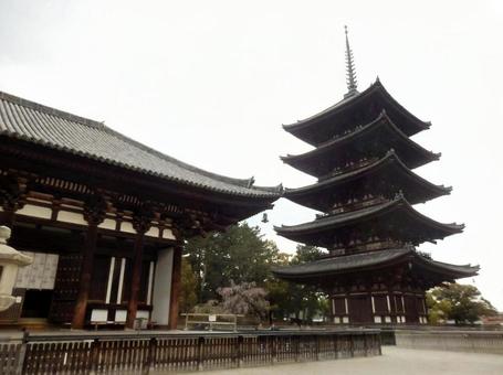 【風景写真】奈良 興福寺五重塔の風景 興福寺,五重塔,奈良の写真素材