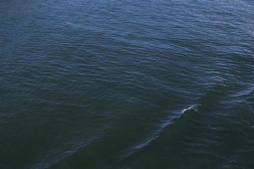 海 海の写真