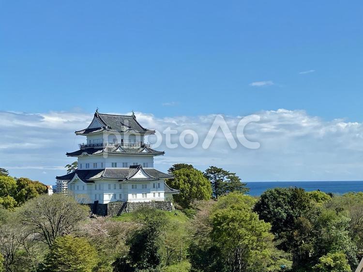 相模湾を見下ろす小田原城 小田原城,天守閣,城の写真素材