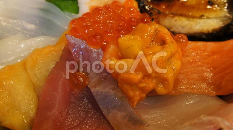 海鮮  海の幸 海鮮,海鮮丼,海の幸の写真素材