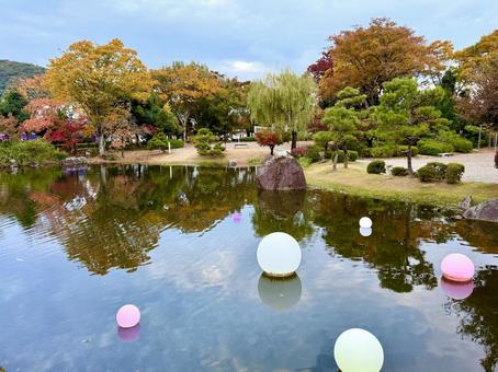 秋の夕方　福井県紫式部公園 紫式部公園,福井県,庭園の写真素材