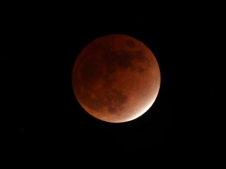皆既月食で赤く染まる月 皆既月食で赤く染まる月 皆既月食,満月,月の写真素材