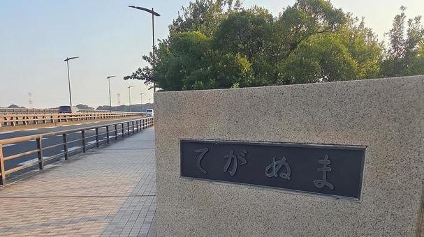 千葉県手賀沼2 千葉県手賀沼2の写真
