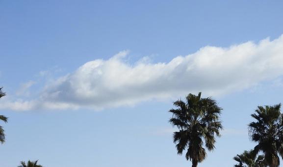 空と雲 空と雲の写真