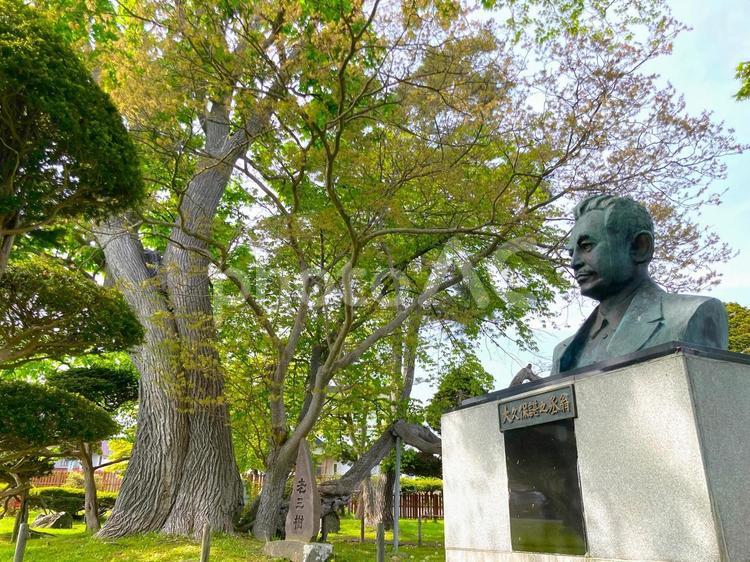 老三樹のある公園 老三樹のある公園,洞爺湖,北海道の写真素材